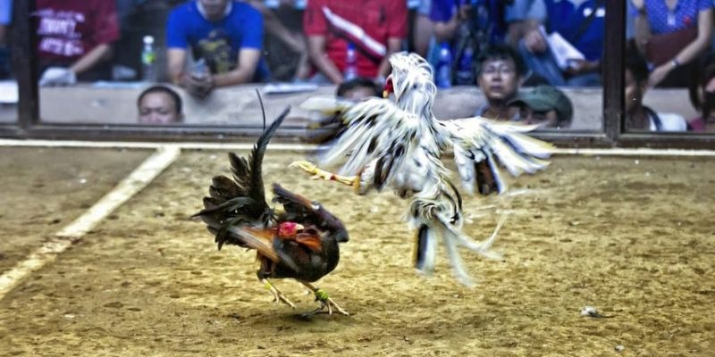 iwin ﻿đăng nhập lô đề uy tín