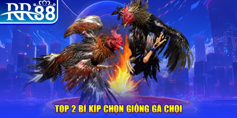 iwin bắn cá h5