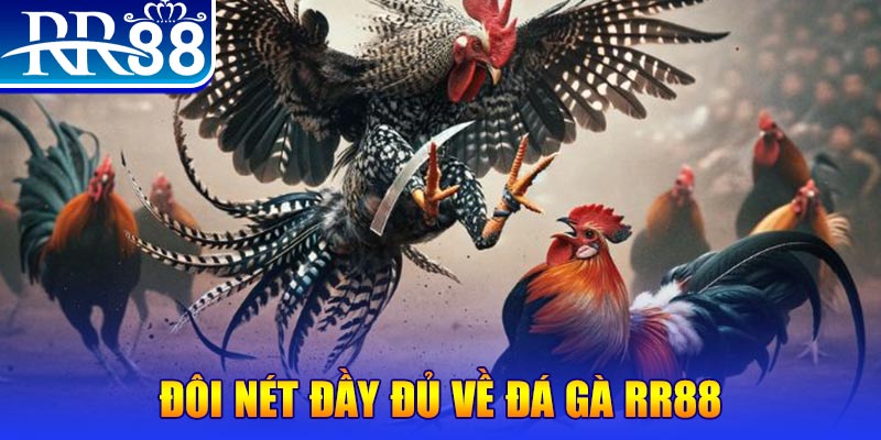 iwin gà chọi hoà phong