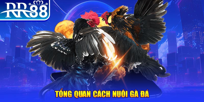 iwin xổ số thứ ba