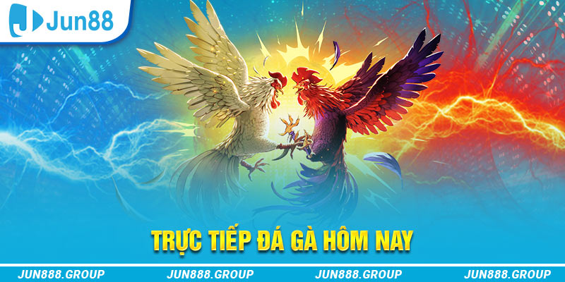 iwin trực tiếp đá gà thomo