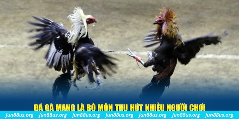 iwin xổ số long an
