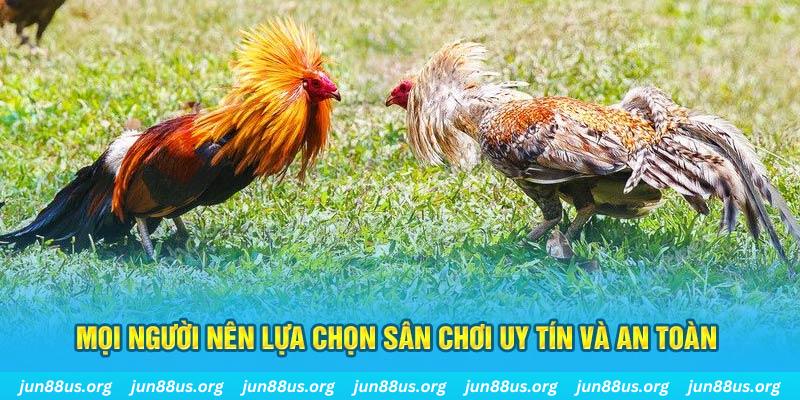 iwin Tài Xỉu