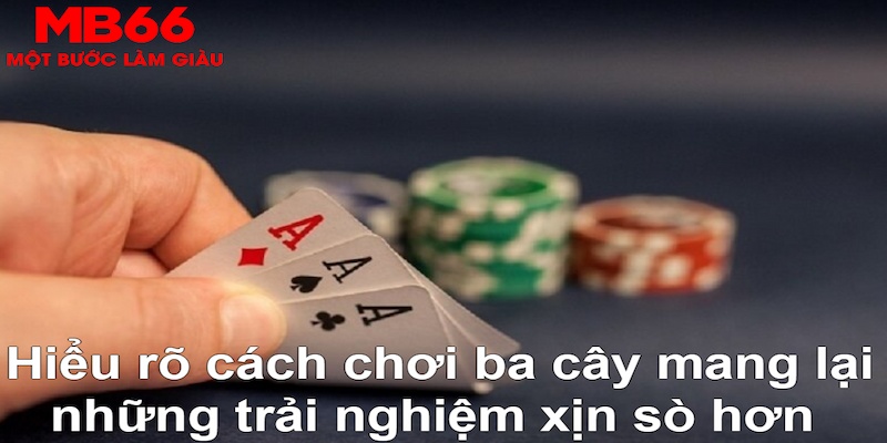 iwin DB Trực Tuyến