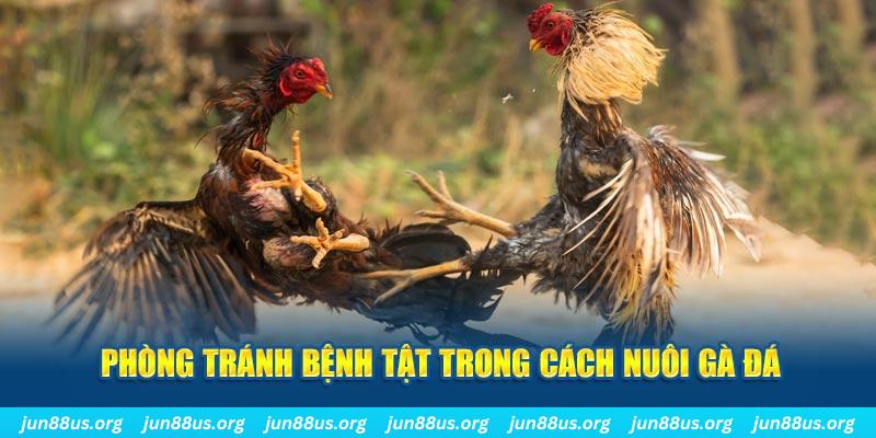 iwin natural” trong baccarat nghĩa là gì？