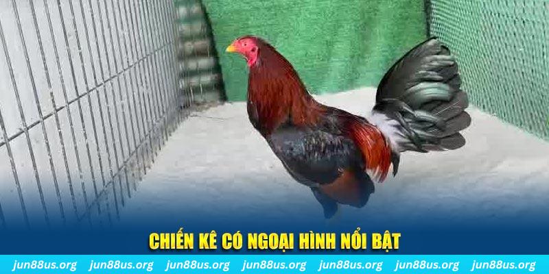 iwin nhạc slot là gì